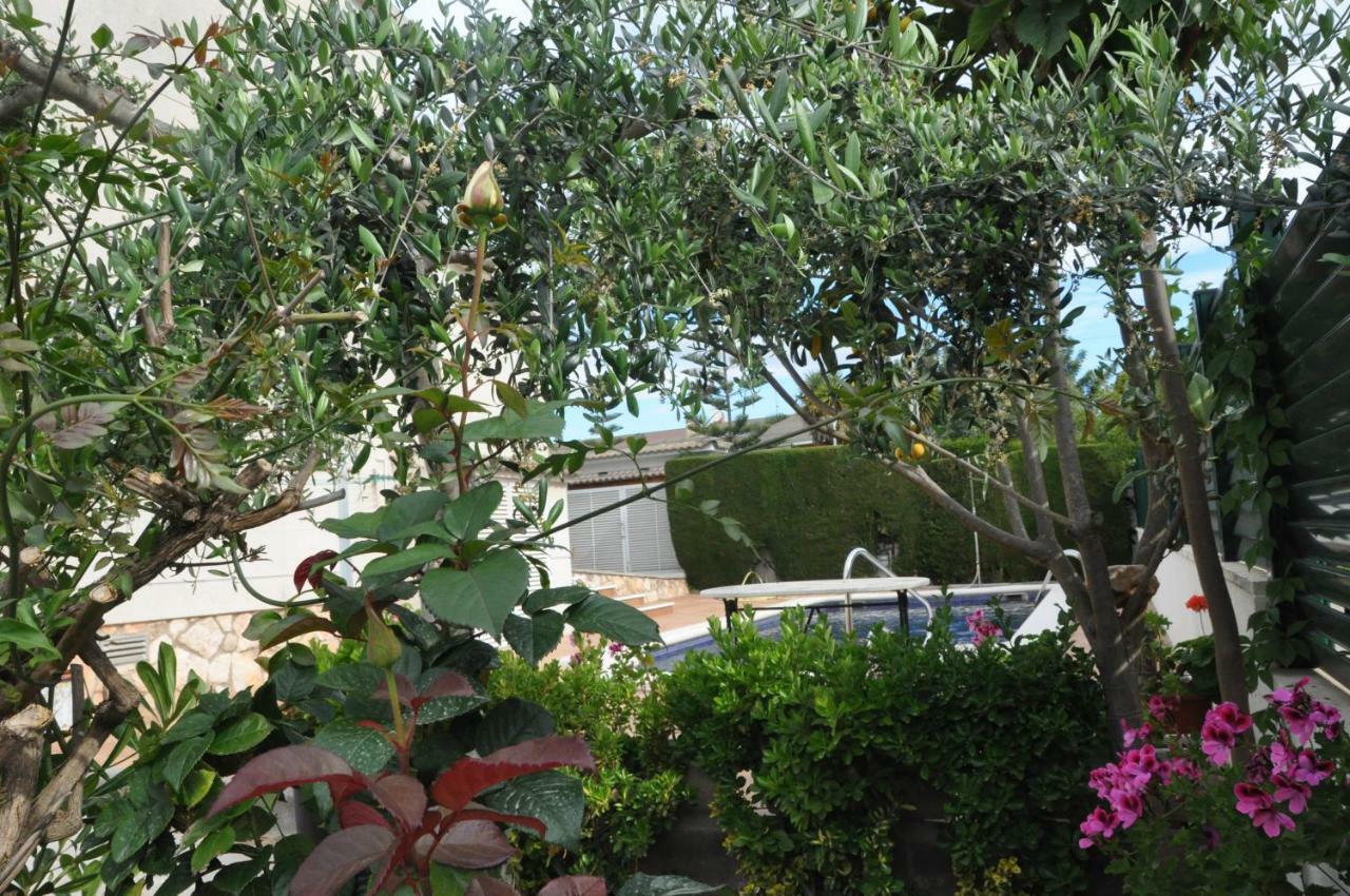 Tenis Roda De Bara Εξωτερικό φωτογραφία